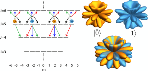 Absorption-Emission Codes for Atomic and Molecular Quantum Information Platforms