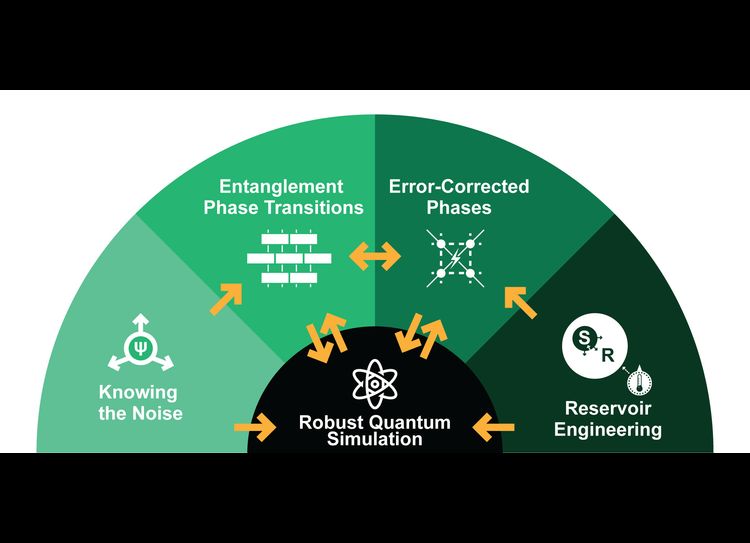 Home | Institute for Robust Quantum Simulation (RQS)