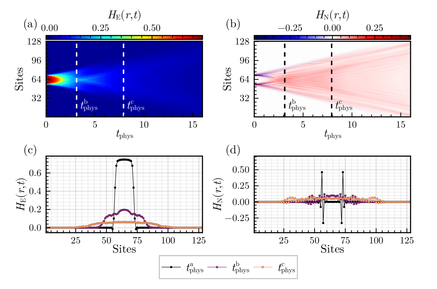 Gauge‑theory dynamics with tensor networks