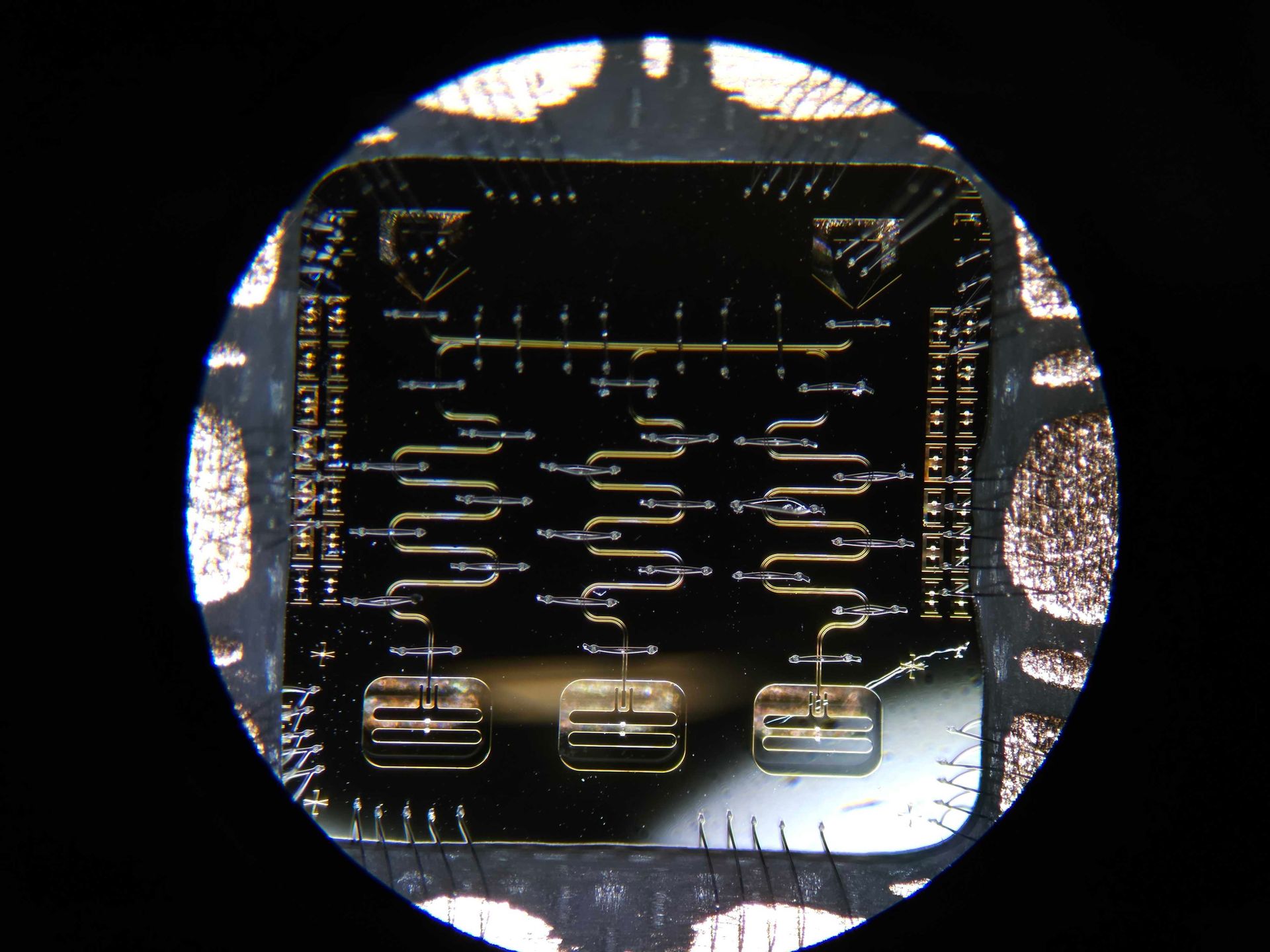 In this superconducting circuit studied in Alicia Kollár’s lab, the middle of the three rectangles along the bottom are junctions that hold quantum states that may each be used as a qubit. 