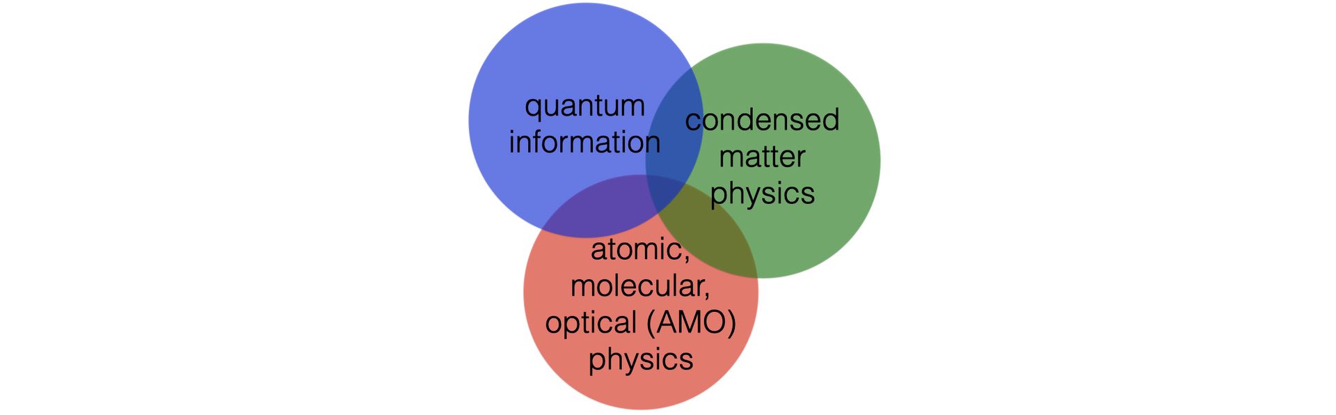 a diagram showing three overlapping circles in red, green and blue to represent the gorshkov group research areas